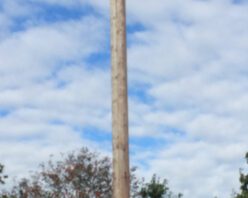 Timber Clad Poles